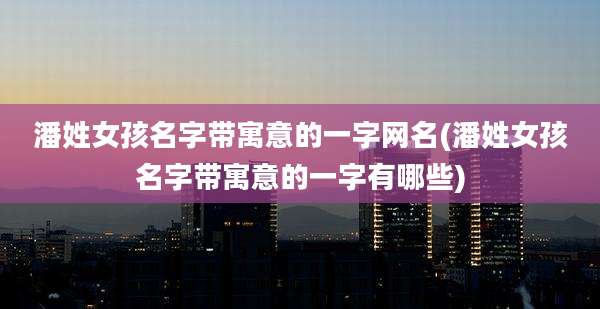潘姓女孩名字带寓意的一字网名(潘姓女孩名字带寓意的一字有哪些)
