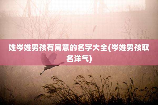 姓岑姓男孩有寓意的名字大全(岑姓男孩取名洋气)