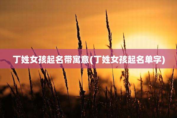 丁姓女孩起名带寓意(丁姓女孩起名单字)