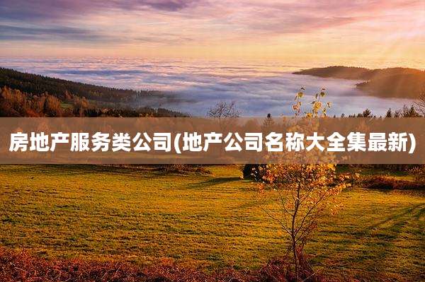 房地产服务类公司(地产公司名称大全集最新)
