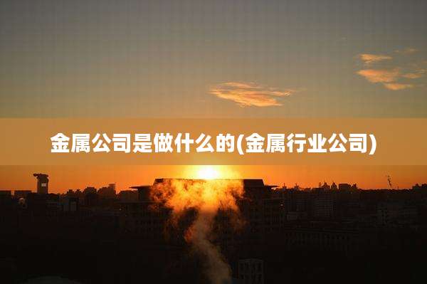 金属公司是做什么的(金属行业公司)