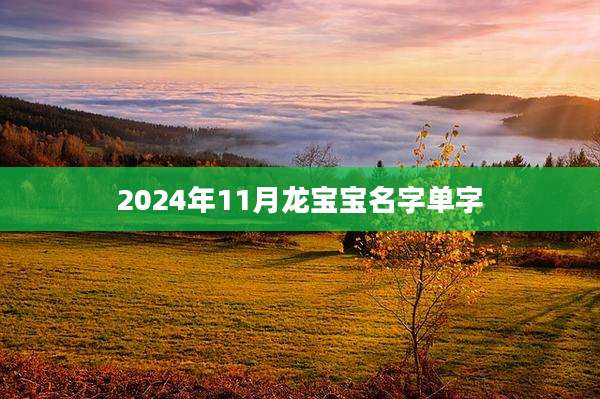 2024年11月龙宝宝名字单字