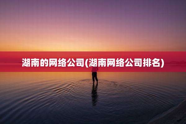 湖南的网络公司(湖南网络公司排名)