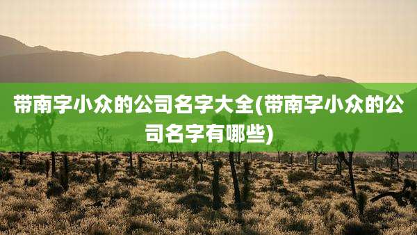 带南字小众的公司名字大全(带南字小众的公司名字有哪些)
