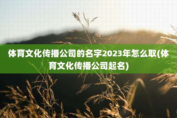 体育文化传播公司的名字2023年怎么取(体育文化传播公司起名)