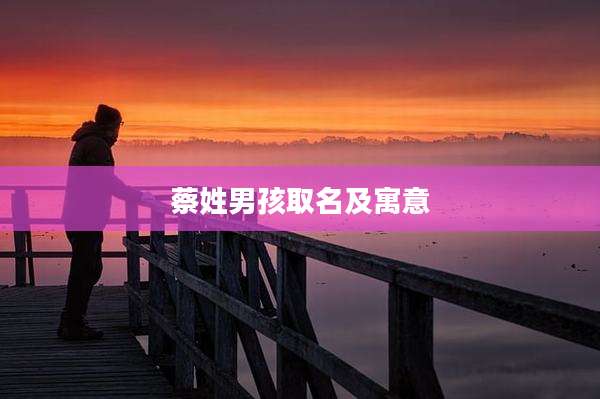 蔡姓男孩取名及寓意