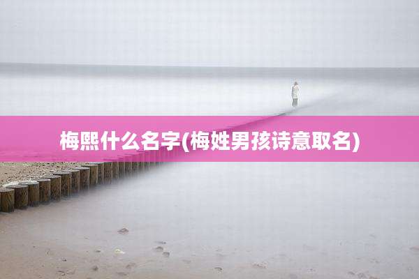 梅熙什么名字(梅姓男孩诗意取名)