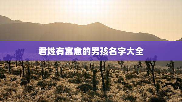 君姓有寓意的男孩名字大全