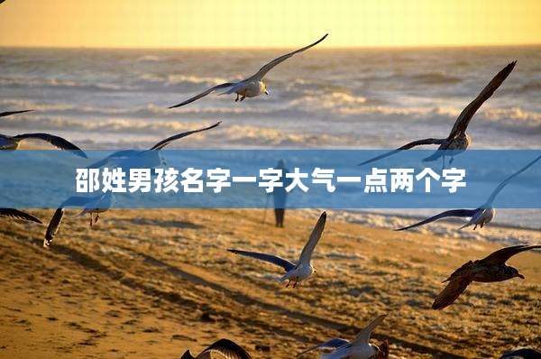 邵姓男孩名字一字大气一点两个字