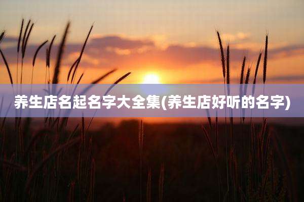 养生店名起名字大全集(养生店好听的名字)