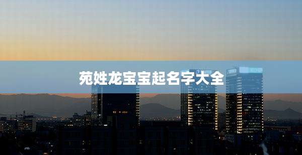 苑姓龙宝宝起名字大全