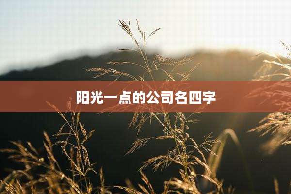 阳光一点的公司名四字