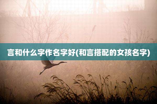 言和什么字作名字好(和言搭配的女孩名字)
