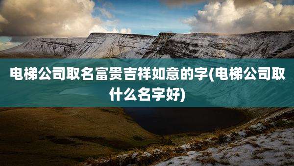 电梯公司取名富贵吉祥如意的字(电梯公司取什么名字好)