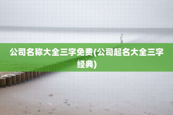 公司名称大全三字免费(公司起名大全三字经典)