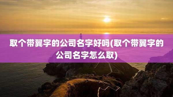 取个带翼字的公司名字好吗(取个带翼字的公司名字怎么取)