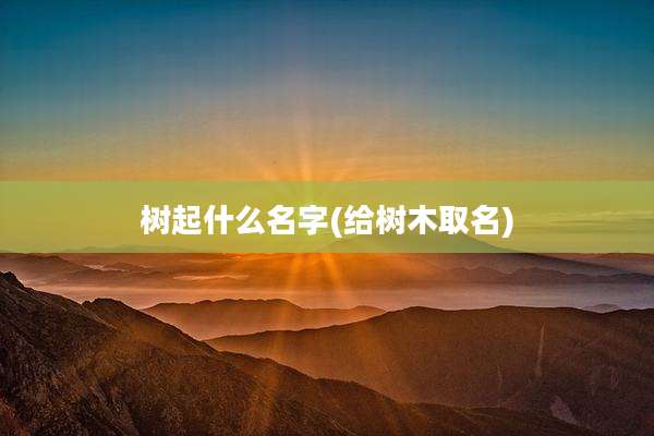 树起什么名字(给树木取名)