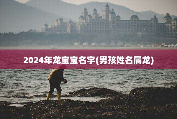 2024年龙宝宝名字(男孩姓名属龙)