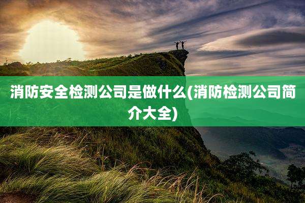 消防安全检测公司是做什么(消防检测公司简介大全)