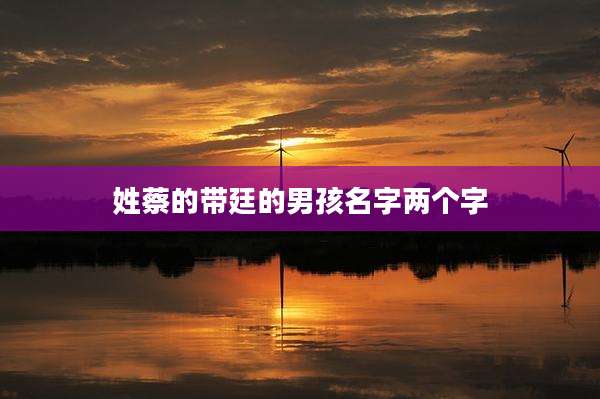 姓蔡的带廷的男孩名字两个字