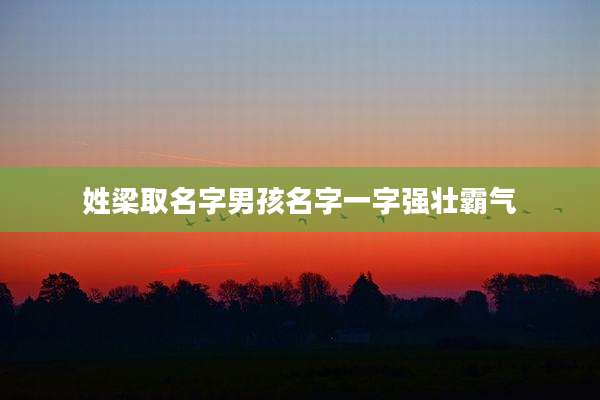 姓梁取名字男孩名字一字强壮霸气