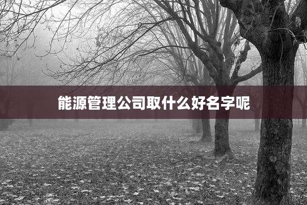 能源管理公司取什么好名字呢