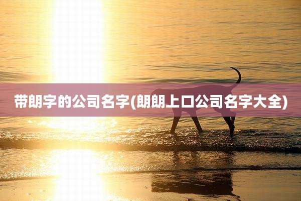 带朗字的公司名字(朗朗上口公司名字大全)