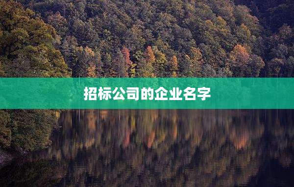 招标公司的企业名字