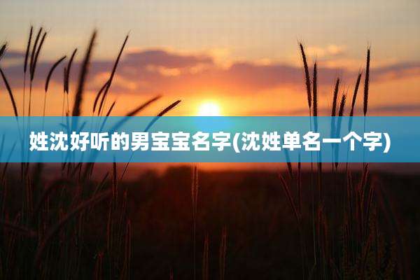 姓沈好听的男宝宝名字(沈姓单名一个字)