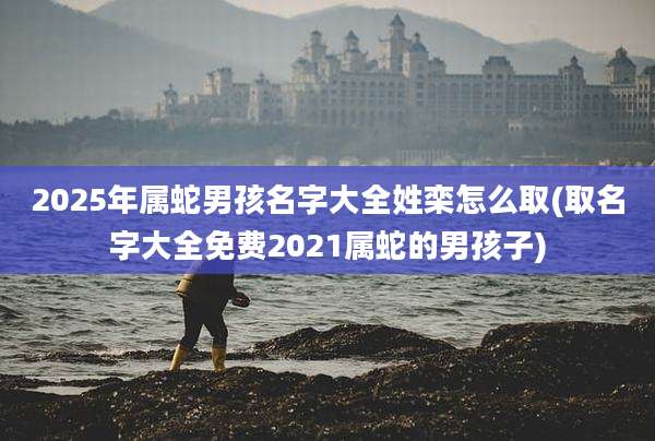 2025年属蛇男孩名字大全姓栾怎么取(取名字大全免费2021属蛇的男孩子)