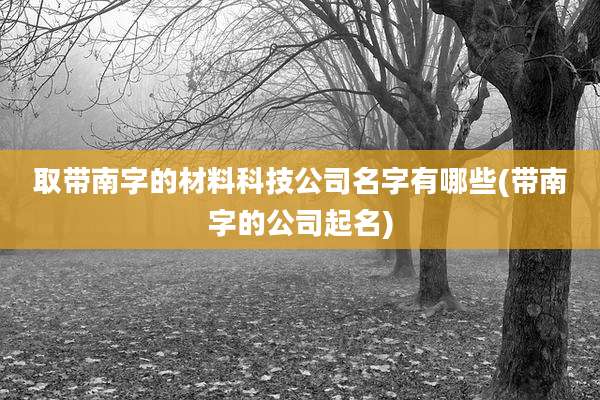 取带南字的材料科技公司名字有哪些(带南字的公司起名)