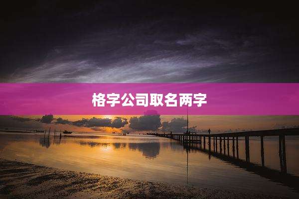 格字公司取名两字