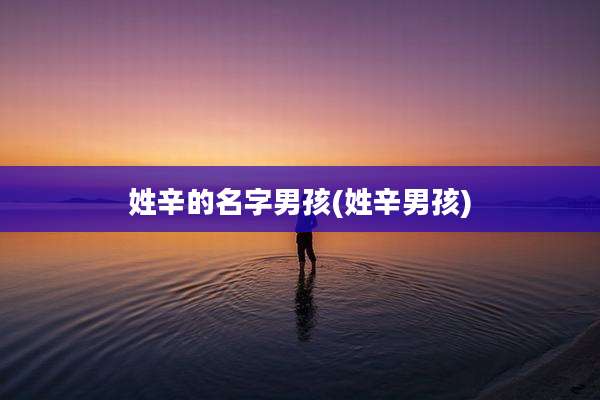 姓辛的名字男孩(姓辛男孩)