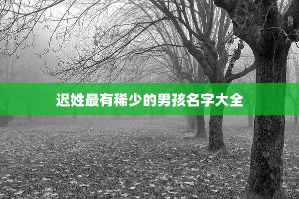 迟姓最有稀少的男孩名字大全
