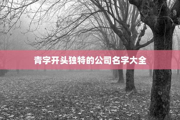 青字开头独特的公司名字大全