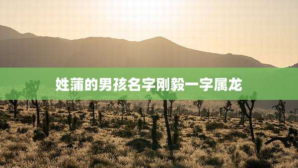 姓蒲的男孩名字刚毅一字属龙