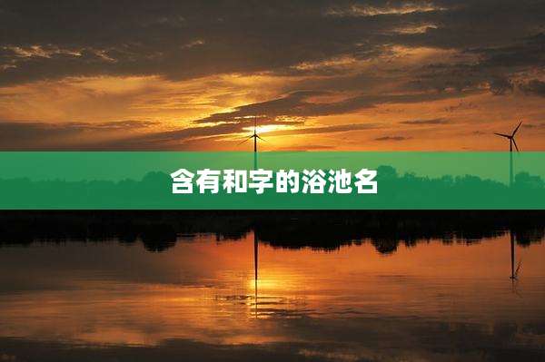 含有和字的浴池名