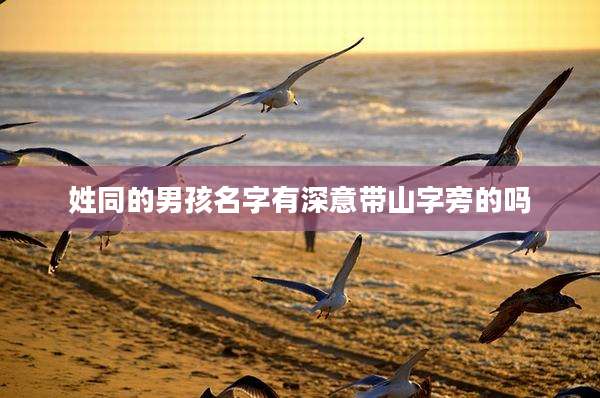 姓同的男孩名字有深意带山字旁的吗