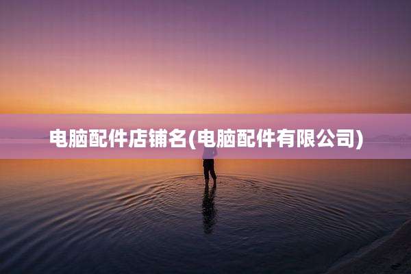 电脑配件店铺名(电脑配件有限公司)