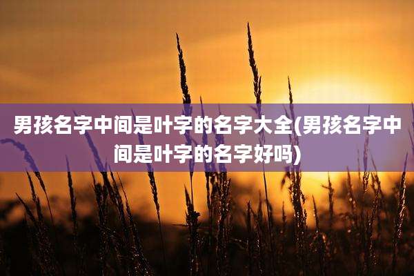 男孩名字中间是叶字的名字大全(男孩名字中间是叶字的名字好吗)