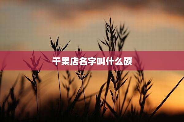干果店名字叫什么硕