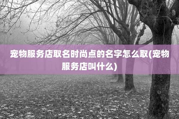 宠物服务店取名时尚点的名字怎么取(宠物服务店叫什么)