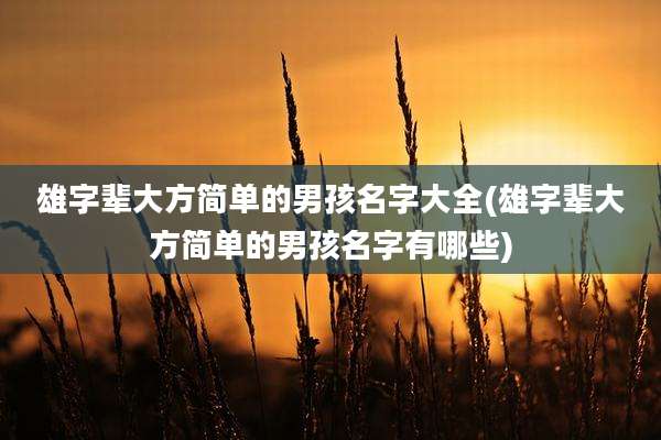 雄字辈大方简单的男孩名字大全(雄字辈大方简单的男孩名字有哪些)