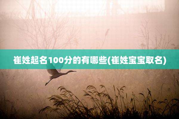 崔姓起名100分的有哪些(崔姓宝宝取名)