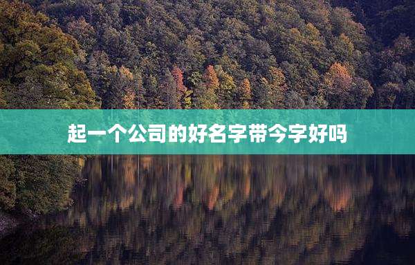 起一个公司的好名字带今字好吗