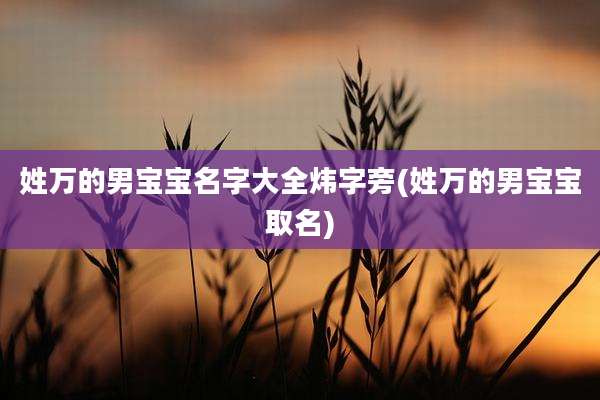 姓万的男宝宝名字大全炜字旁(姓万的男宝宝取名)