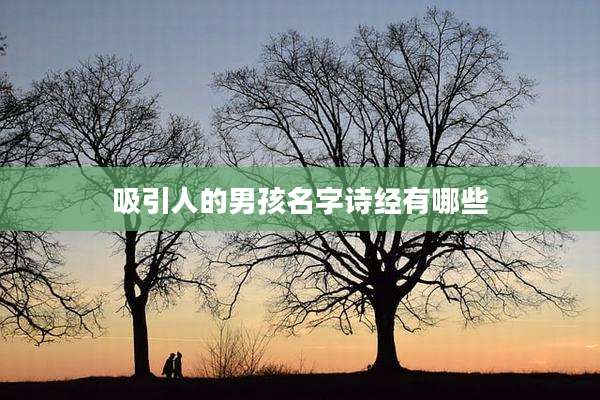 吸引人的男孩名字诗经有哪些