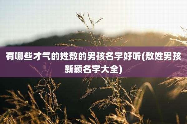 有哪些才气的姓敖的男孩名字好听(敖姓男孩新颖名字大全)