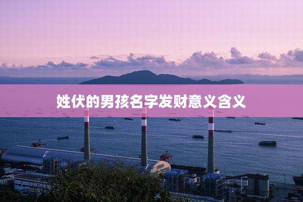 姓伏的男孩名字发财意义含义