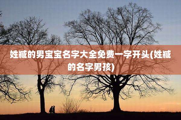 姓臧的男宝宝名字大全免费一字开头(姓臧的名字男孩)